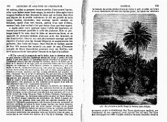 LECTURES ET ANALYSES DE GEOGRAPHIE SUR L ALGERIE (51)